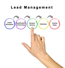 Canvas Print - Five Components of  Lead Management