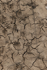 dry cracked earth