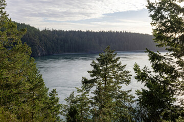 view of ocean inlet through trees on cliff