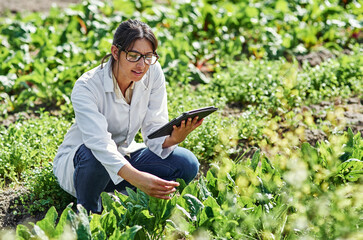 Poster - This app helps me conduct experiments and research better. Shot of an attractive young scientist using a digital tablet while studying plants and crops outdoors on a farm.