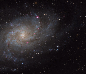 Wall Mural - messier 33, triangulum galaxy