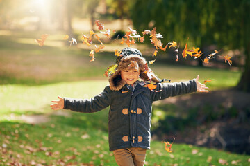 Sticker - When autumn leaves fall its time to have a ball. Shot of a happy little boy playing in the autumn leaves outdoors.