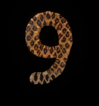 Leopard Themed Font Number 9