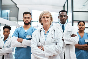 Poster - We aim to enhance the quality and effectiveness of healthcare. Portrait of a group of medical practitioners standing together in a hospital.