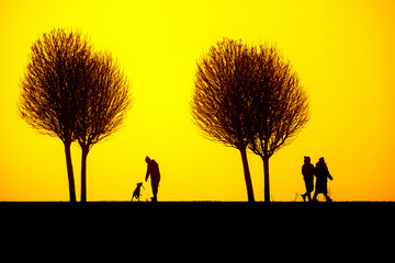 yellow sunset sky with silhouettes of people on the road with trees