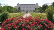 Massif de fleurs au Jardin des Plantes à Paris, rosier buisson couvert de roses rouges dans l'allée centrale du parc, au printemps (France)