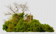 High Resolution Forest Cape Take By Panorama Technique For Shape And Detail, Cut Out Forest From Original Background And Replacement New Background With Clippings Path Or Selection Inside This Picture