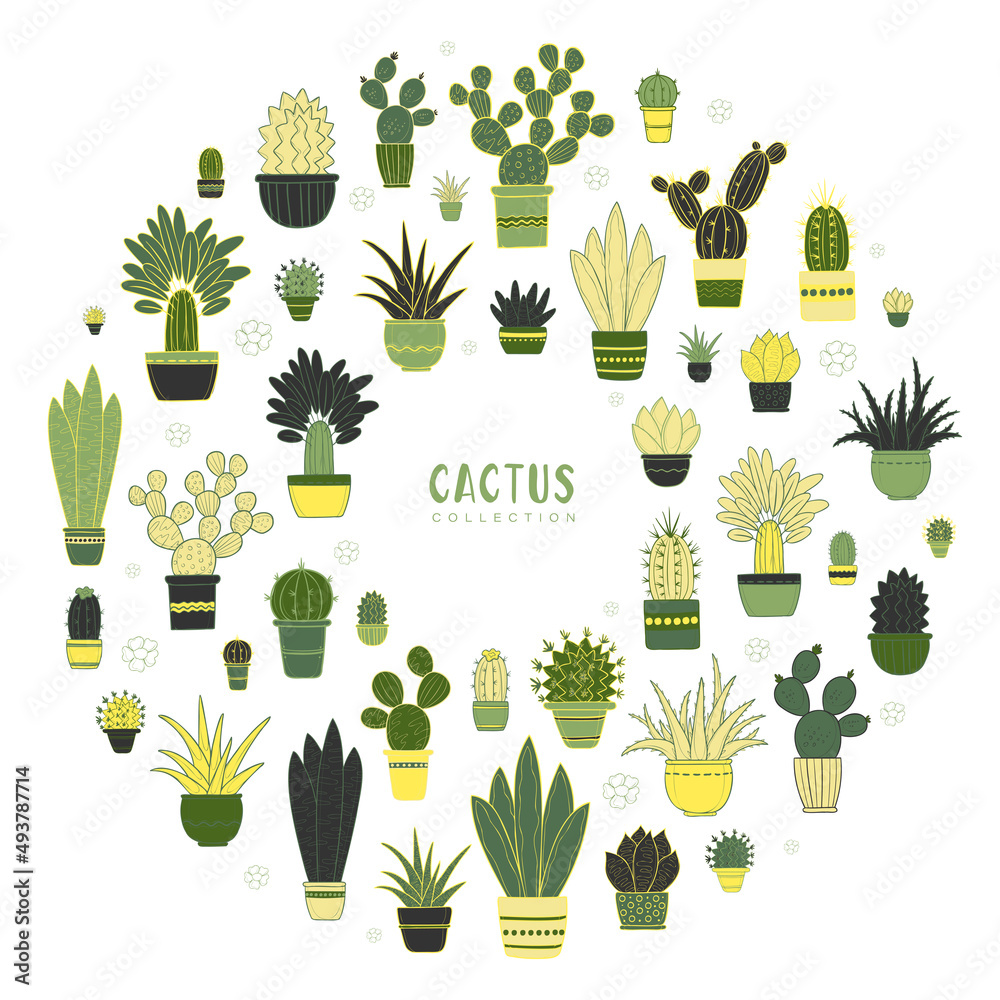 Vector set of colorful cacti in decorative pots. Elements isolated on ...
