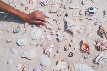 Wall Mural - Female hand with collection of seashells.