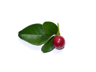 Poster - Close up Myrtle lime, Limeberry fruit with leaves on white background.