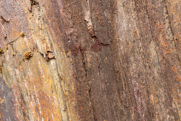 Wall Mural - Slate surface texture