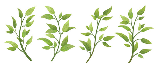 vector designer elements set collection green branch with leaves. decorative beauty elegant illustra