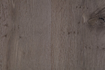 Poster - Rovere Eur Rustico Tinto Silver veneer texture, exquisite background for new design project work.