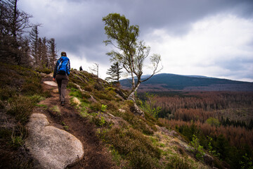hiking in the mountains