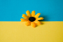 Yellow And Blue Background With Artificial Sunflower