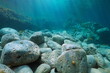 Rocky seabed, rocks underwater in the Mediterranean sea, Spain