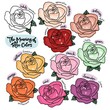 The meaning of rose colors vector illustration