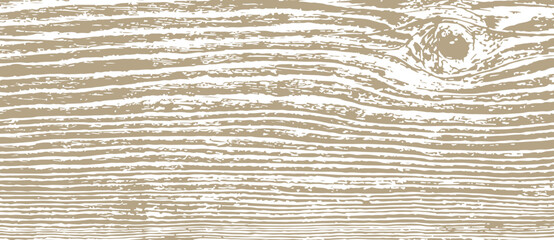 Texture of wood with knot