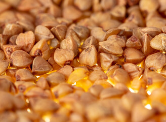 Wall Mural - Close-up of buckwheat groats as background.