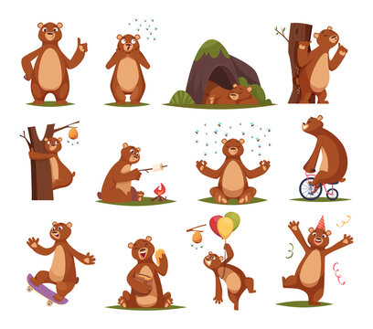 Funny bear. Cartoon bear mammals in action poses exact vector comic set illustrations of wild animals
