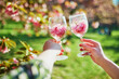 Two woman hands holding a wine glasses full of pink cherry blossom petals on a spring day