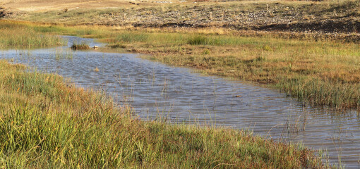 Poster - Beautiful water stream in mountain valley