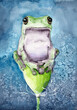 Watercolor illustration of a green frog sitting on a bud of a faded flower on a blue background