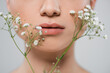 © LIGHTFIELD STUDIOS - close up view of cropped female face near white gypsophila flowers isolated on grey.