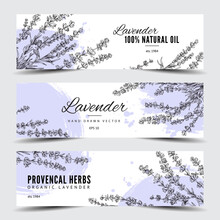 Lavender Hand Drawn Banners Or Flyers Set, Engraving Vector Illustration.