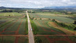 Aerial shot of a highway amid agricultural fields