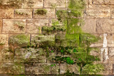 Fototapeta Niebo - Stones wall of old fortress covered by green moss