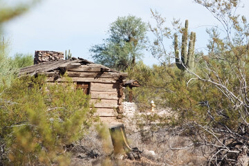 Wall Mural - Saguaro cactus and a desert building