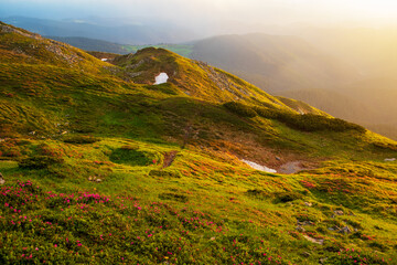 Wall Mural - Fog in the mountains of the Eastern Carpathians. Ukraine.