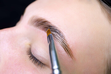 Wall Mural - combing the hairs in the eyebrows with a brush after the procedure of coloring and laminating the eyebrows