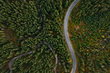 Fototapeta Do pokoju - Aerial view of beautiful forest and empty road on autumn day