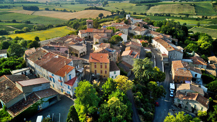 Wall Mural - Aerial shot of a medieval village with red roofs surrounded by green fields and trees