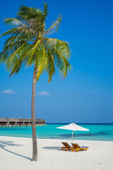 Poster - Vertical shot of the deck chair, umbrella, and a palm tree on the sandy beach in the Maldives