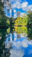 Poster - NYC skyline from within Central Park