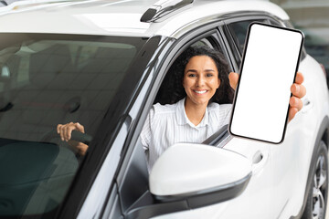 Wall Mural - Positive middle eastern woman sitting in car, showing smartphone