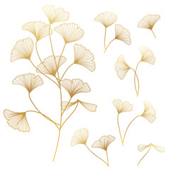 Wall Mural - set leaves of gold on white. vector illustration.