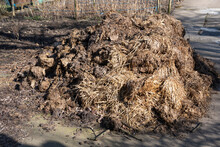 A Large Pile Of Fresh Horse Manure - A Delivery Of Natural Fertilizer At The Entrance To An Allotmen
