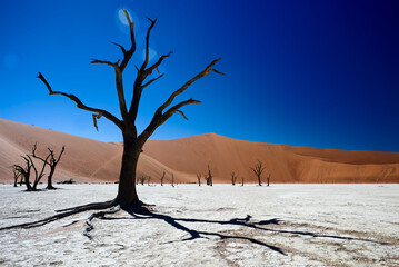 Sticker - Photo of a salt desert in Sossusvlei Namibia, in the Namib desert