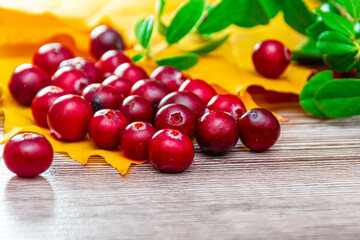 Cranberries and autumn maple leaves on a wooden brown background. Autumn vitamins. Prevention of seasonal flu, coronavirus and ARVI diseases. Copy space, frame.