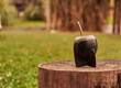 calabash yerba mate on a cut tree trunk with blurred nature in the background. Traditional argentinian hot beverage. Relaxing time. Copy space
