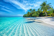 canvas print picture - Maldives Islands Tropical