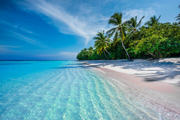 Maldives Islands Tropical