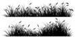 reeds grass silhouette black