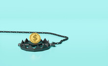 Bear Trap With Money Coin Dollar Isolated On Blue Background. Business Trap, Scammer Concept, 3d Illustration, 3d Render