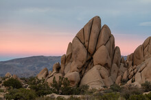 Joshua Tree National Park Landscape In Late Afternoon, Before Sunset. 