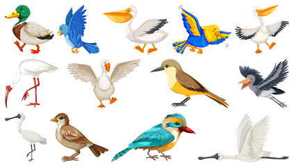 Wall Mural - Different kinds of birds collection